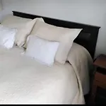 Departamento Pucon 3 Personas